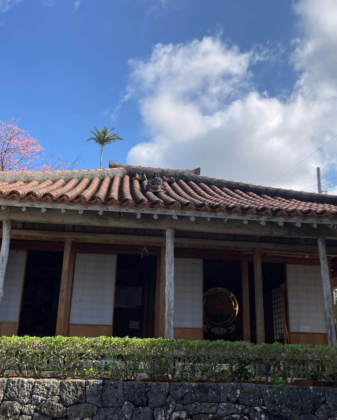 トニー・バーネットさんのインスタグラム写真 - (トニー・バーネットInstagram)「A stroll along the Kinjo Stone Road. In use since the 16th century #okinawa #naha #kinjostoneroad」2月8日 16時23分 - tony.barnette