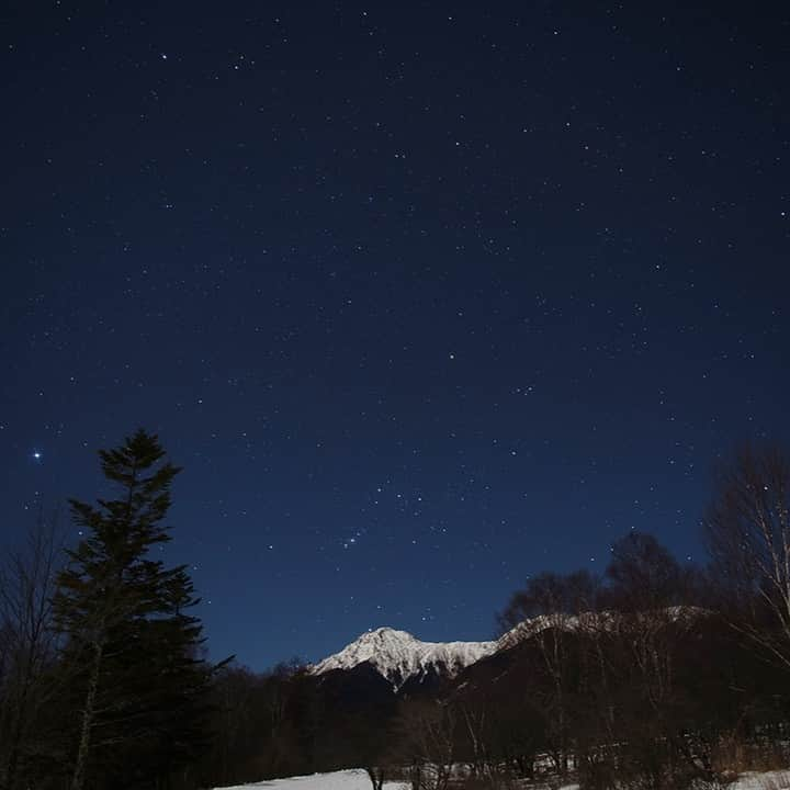 【公式】八ヶ岳高原ロッジ・八ヶ岳高原音楽堂さんのインスタグラム写真 - (【公式】八ヶ岳高原ロッジ・八ヶ岳高原音楽堂Instagram)「暦の上では「春」ですが… まだまだ寒さが厳しいですね。  2月は冬の大三角（オリオン座ベテルギュース・おおいぬ座シリウス・こいぬ座プロキオン）の見える時期で、明るい一等星も沢山見えて星空が賑やかです。  夜中になれば春の星が見え、明け方の空には天の川が昇ってきます。 春に近づく季節の星空は晴れた夜にはとてもよく見えますので、ぜひお出かけくださいね。  #オリオン座 #ベテルギウス #おおいぬ座 #シリウス #こいぬ座 #プロキオン #冬の大三角 #冬の空 #星空観察 #星空 #星空フォト #星空撮影 #星座 #夜空 #夜空ノムコウ #星景 #星景写真 #天の川 #天の川銀河 #星が綺麗 #夜景 #空を見上げるのが好き #空が好き」2月8日 16時50分 - yatsugatake_kogen_lodge