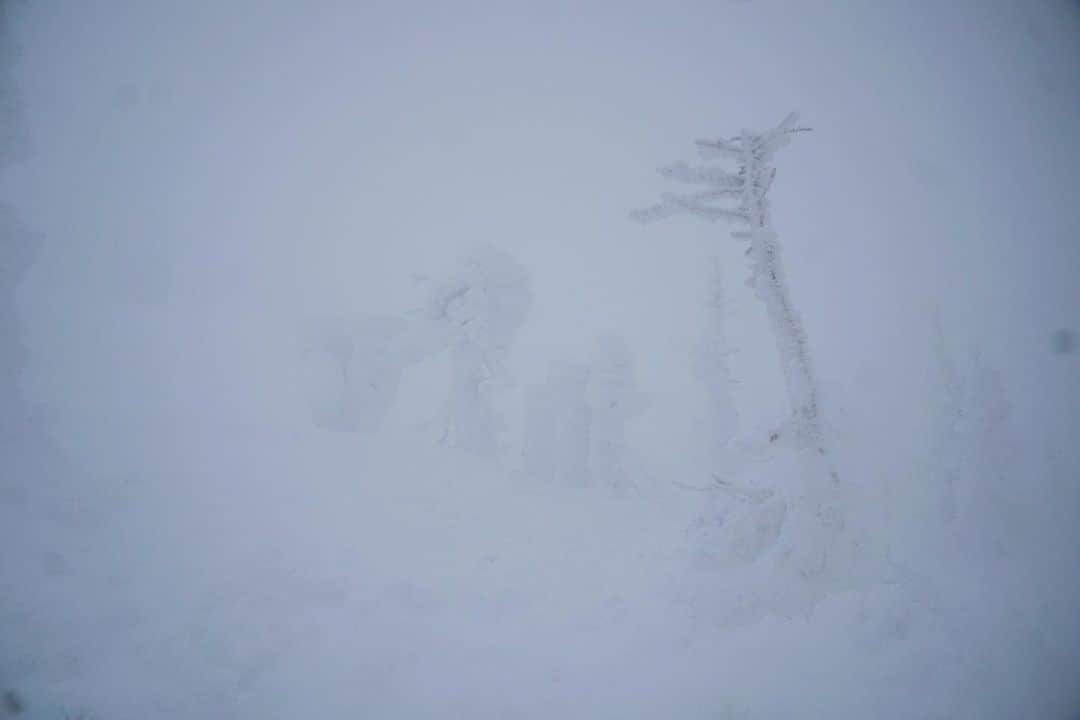 ベンチャーリパブリックさんのインスタグラム写真 - (ベンチャーリパブリックInstagram)「スタッフの旅行休暇をご紹介します♪（今回はシステムグループのメンバーの旅です）  ✈︎・✈︎・✈︎・✈︎・✈︎・✈︎・✈︎  年末年始と旅行休暇を利用して、初めて山形県へ行ってきました。  山形蔵王の樹氷： ロープウェイから見た樹氷高原駅までの道中はとても綺麗な光景でしたが、標高が上がるにつれだんだん視界が悪くなってきました。目の前に樹氷があるのに、真っ白な光景しか見えなかったのは残念ですが、雪の世界に入り込んだような体験を味わえて、面白かったです。  山寺(立石寺)： 元々は頂上にある五大堂が目当てですが、階段の閉鎖で一つ目の参拝ポイント「根本中堂」までしか登れなかったです。それでも道中の雪景色は綺麗でした。  最上川芭蕉ライン舟下り： ぬくぬく暖かいこたつ舟から雪化粧をした奇岩や滝など冬しか見られない絶景を、船頭の舟唄を聞きながらゆったりと楽しめました。約12km・1時間のコースはあっという間に終わってしまいました。  銀山温泉： 大正ロマンに溢れたレトロな街並みが、ガス灯の明かりに包まれた、その風景は幻想的でした。昼もさぞ綺麗でしでしょうね…　今度は、泊まりでまた行きたいです。  やまがた音と光のファンタジア： 音・光のツリーや花が並ぶ幻想的な空間で、ロマンチックな演出を堪能しました。都内イベントに負けないクォリティでした。  かなりタイトなスケジュールでしたが、それはそれで楽しかったです。今度、冬の目玉イベントの多い2月に行ってみたいです！  ✈︎・✈︎・✈︎・✈︎・✈︎・✈︎・✈︎  ※旅行休暇とは、有給休暇以外にお休みを取得できる社内制度です。 #ベンチャーリパブリック #トラベルjp #旅行休暇 #旅行 #山形 #山形蔵王の樹氷 #雪景色 #venturerepublic #traveljp #travel #vacation」2月8日 17時31分 - vkanri