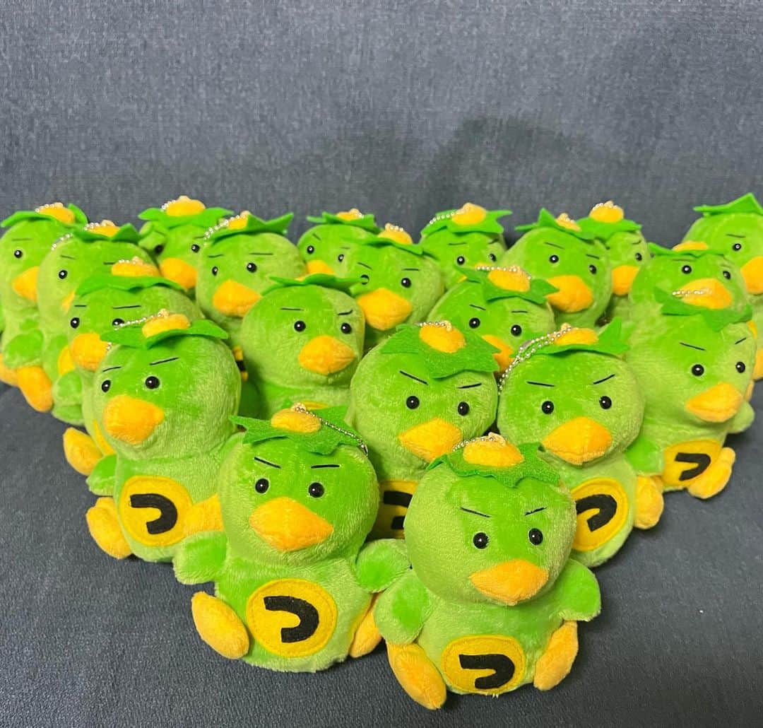 椿梨央のインスタグラム：「じゃじゃーーん🎊 . . 今日2月8日は つばきゅうの日🥒⚾️ . . 皆様のお声から始まって ようやくぬいぐるみが完成しました！ . 遡ること3年前くらい ぬいぐるみを作って欲しいと お声がありましたが 中々ぬいぐるみはコストの面で難しいく どうしようかなと悩んでいた矢先 高校野球部マネージャーの 後輩ちゃんがハンドメイドのお仕事をしていると！！ これは是非とも作って欲しいと！ 快くOKサインをしてくれました♡ . ハンドメイドならではの １つ１つの顔が違うのがまたいいです♪ . . 今回20個限定です！ 早めにどうぞ🔥 在庫販売のため無くなり次第終了です💦 . . 他にもレアな帽子があったりと グッズ販売してるので是非見てみて下さい♪ . . 購入の仕方は ストーリーのURLから飛ぶ事できます！ 分からなければDMで聞いて下さいね♪ 在庫販売ですので すぐ発送します💨 . . つばきゅうを宜しくお願い致します☺️ . . . . . . 後輩ちゃんのお店 @precious_doll221  check‼︎」