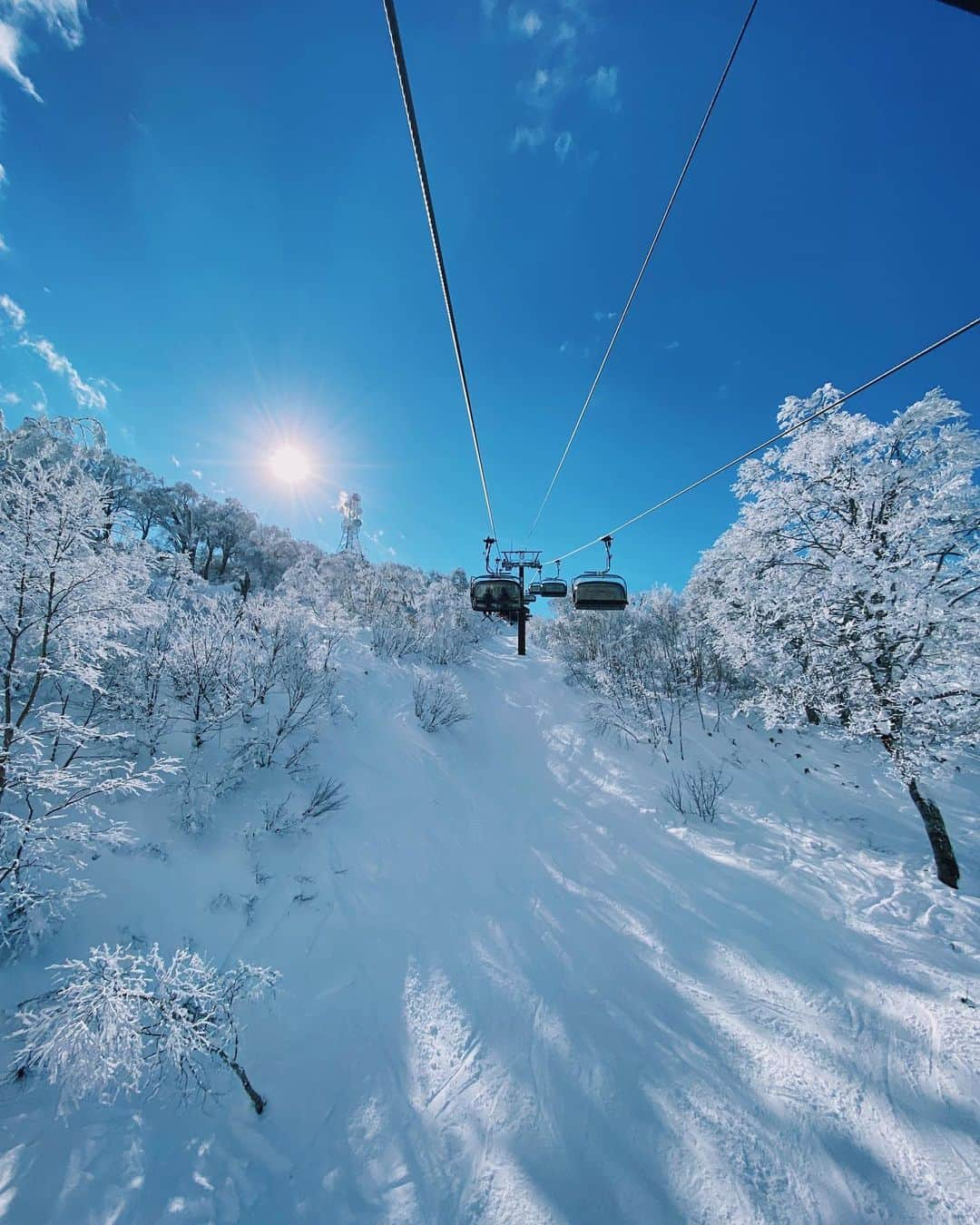 野中生萌さんのインスタグラム写真 - (野中生萌Instagram)「#tb to the good days in NAGANO! ☃️❄️💎🐻‍❄️❄️☃️🤍🤍🤍」2月8日 20時02分 - nonaka_miho