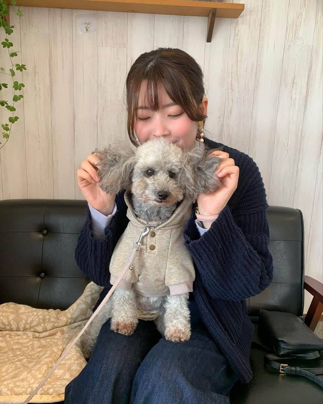 松本ルナのインスタグラム：「お休みの日に もあたんとドッグランへ🐩♡  最近はいっぱい走る様になって お友達とも上手に遊べる様になって お母ちゃんは嬉しい限りです🥹←  写真はフード被ったトイプードル🐩♪ なんかリズミカル♪笑  そんでもって可愛すぎる！！😂❤️  そして、この日、 ドッグランに来てたお友達ワンちゃんと 一緒に全力で走ってたら 全力でスライディングして 転けました☺️  ワンコも飼い主さんも ちょっと引いてた♡  もあたんも「え？やば。」みたいな顔してた☺️  久しぶりに擦り傷出来ました♡笑  これからも全力で走りまわりたいと思います☺️  #ドッグラン #全力 #転けた  #roundcafe #奈良 #親バカ部  #シルプー #シルプー親バカ部  #犬のいる暮らし #勝手に奈良観光大使」