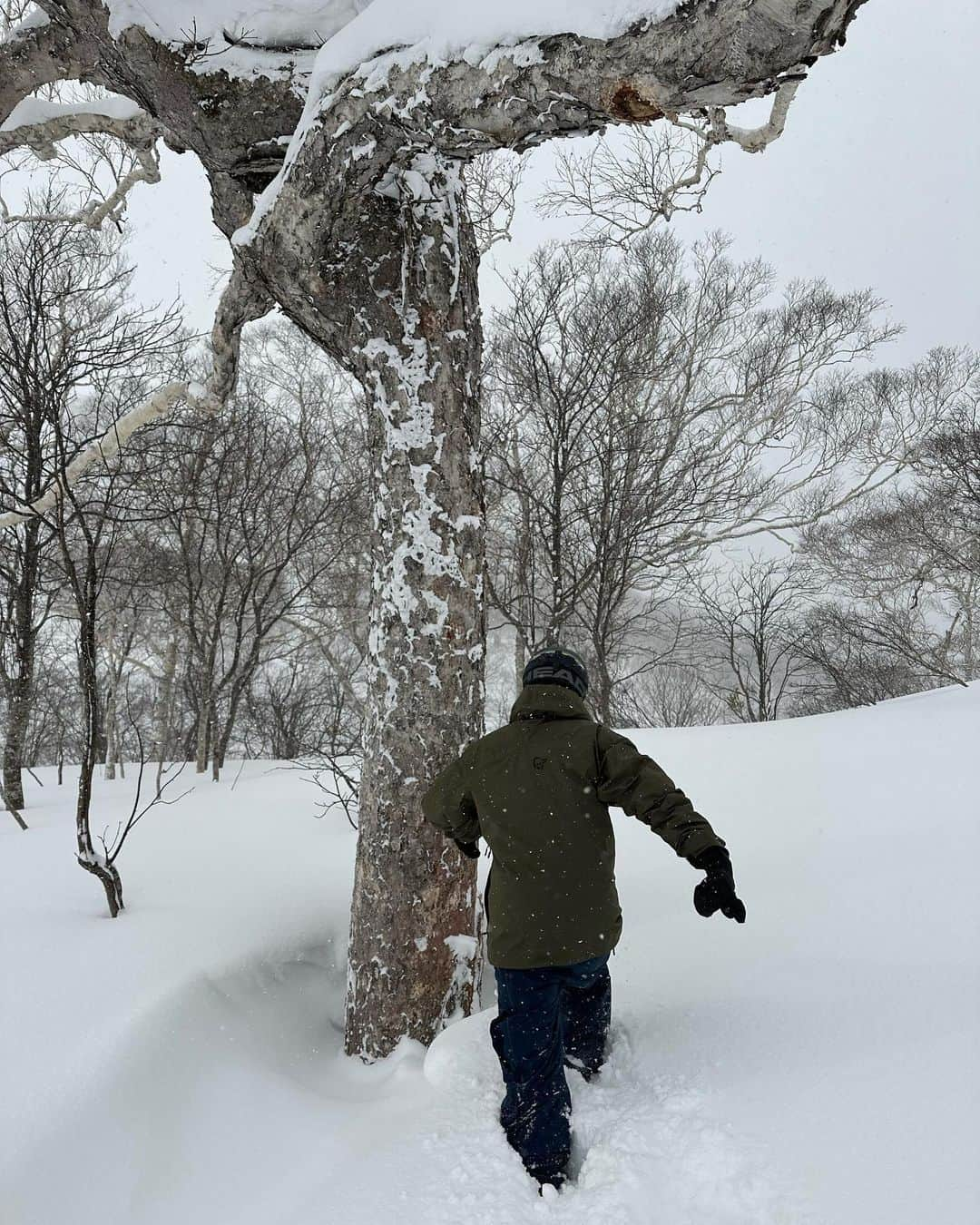 チェ・ウシクさんのインスタグラム写真 - (チェ・ウシクInstagram)「눈 정말 많이 보고온날  #norrøna  #ski#snowboarding  @radstore552」2月8日 21時06分 - dntlrdl