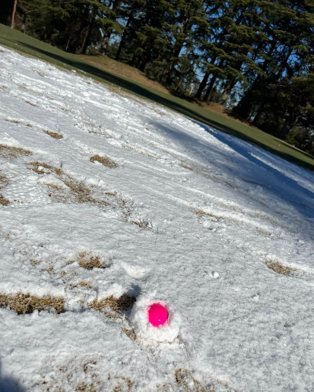 小山愛理さんのインスタグラム写真 - (小山愛理Instagram)「⁡ このあいだ久しぶりにゴルフに⛳️ 寒くて練習も行く気になれず、今年初めてクラブを握りました。。。笑 ⁡ 前日の雪が残っていてスタートも遅れ、午前中は一面真っ白⛄️ 天気が良かったのが救いでした😂 楽しかったな〜🤍 ⁡ ⁡ #ゴルフ#golf」2月8日 21時40分 - koyama_airi