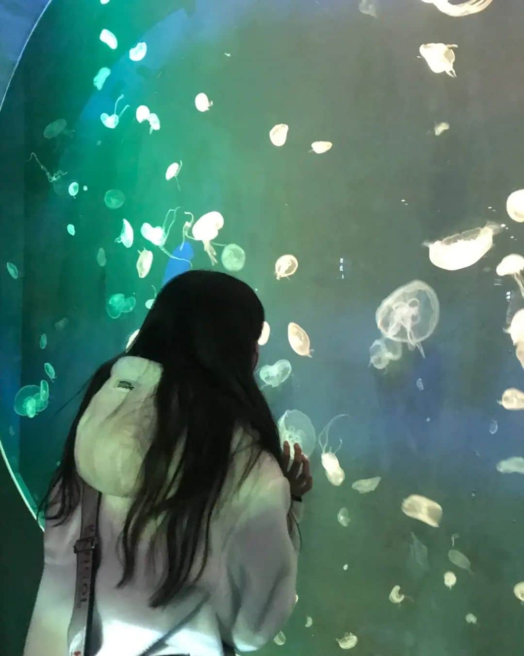イ・チェミさんのインスタグラム写真 - (イ・チェミInstagram)「#63빌딩아쿠아리움 🐟🐠🐬🐳🐋  #63빌딩전망대 #맥스달튼영화의순간들」2月8日 22時26分 - chaemi_lee