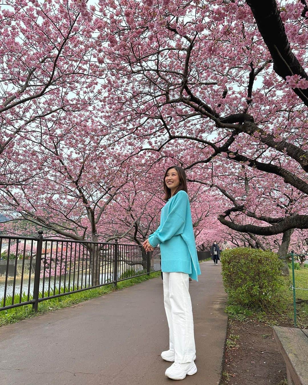 臼井佑奈さんのインスタグラム写真 - (臼井佑奈Instagram)「ZIP!河津町から生中継でした🌸 ご覧いただきありがとうございました！  河津桜は今まさに満開！ ZIP!の中継時もすでに多くの方が訪れていました！ながーい桜のトンネルは絶景🌸 濃いピンク色が特徴的の河津桜は、青空とのコントラストが最高です🥹  河津桜は満開になってからも長く楽しめるのがポイント🌸 現在開催中の河津桜まつりは3月5日まで！ぜひお越しください〜😆🤍  #静岡 #河津桜 #ZIP! #今日はちょい曇り空だったので私が青空の代わりをしています」2月23日 10時21分 - yuna_usui