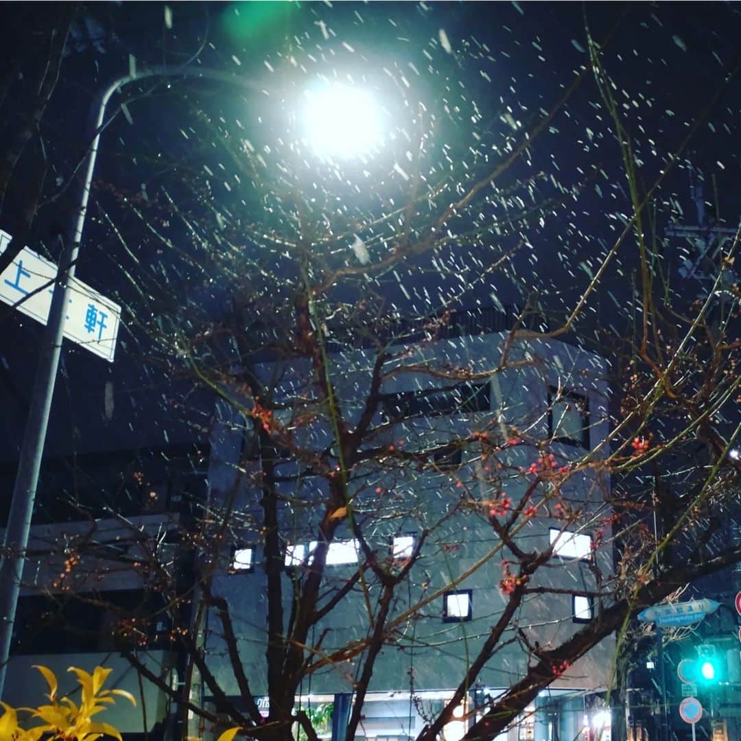 デザオ建設北野展示場さんのインスタグラム写真 - (デザオ建設北野展示場Instagram)「皆様こんにちは！デザオ建設北野展示場です♪ 本日は祝日ですね。ちょっとお天気が怪しいなあと思っていつつ、外に出るとなんと梅の花が咲いていました！ 火曜に雪の日ながらも蕾の膨らみを見つけて写真を撮りましたがまさかこんなに早く花を見られるとは😊  本格的に春を感じました。 デザオ建設は本日通常通り営業しております。 ぜひご来場いただいた際には梅の花も探してみてくださいね！  皆様のご来場お待ちしております。  #今年も咲きました #梅の花 #モデルハウス見学  #相談会開催  #京都市新築　#京都市リフォーム #京都府リノベーション　#京都府新築 #京滋エリア新築　#京滋エリアリフォーム　 #デザオ建設 #デザオ建設北野展示場  #つなぐモデルハウスとこしえ」2月23日 10時58分 - dezao_kitano2018