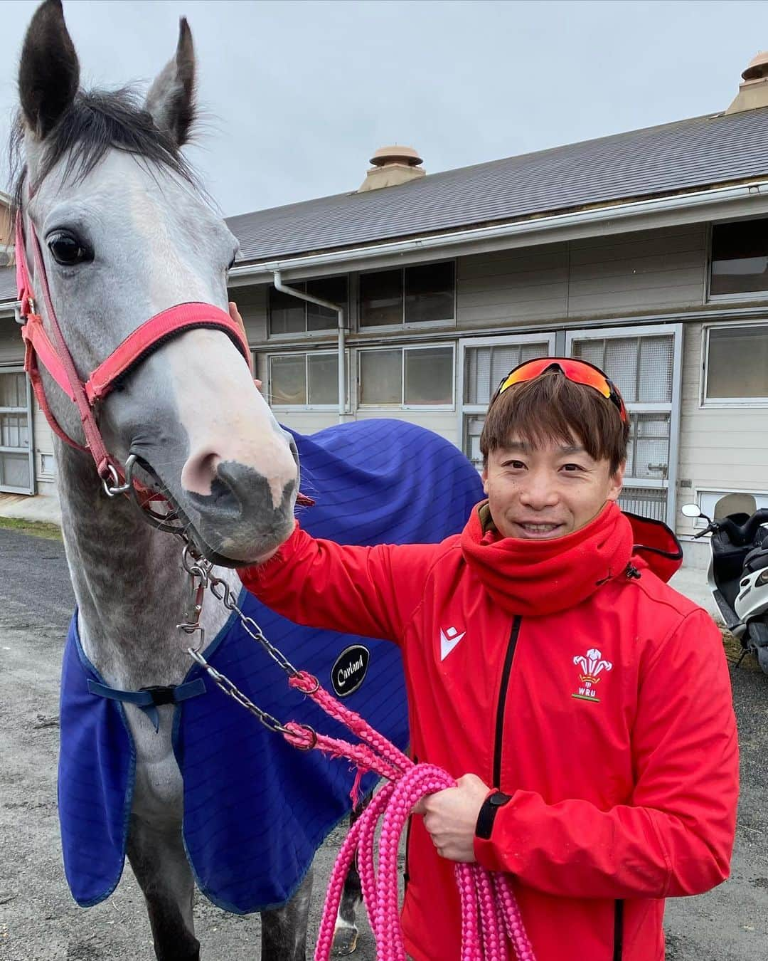 池添謙一のインスタグラム：「メイショウミモザが現役を終えて繁殖にあがります🐴  無事に現役を終えられてよかった(^^) 長生きしていいお母さんになってほしいです。  ベルーガからの血脈も受け継いでいってほしいと思います😌  #メイショウミモザ #メイショウベルーガ  写真使わせてもらいます」