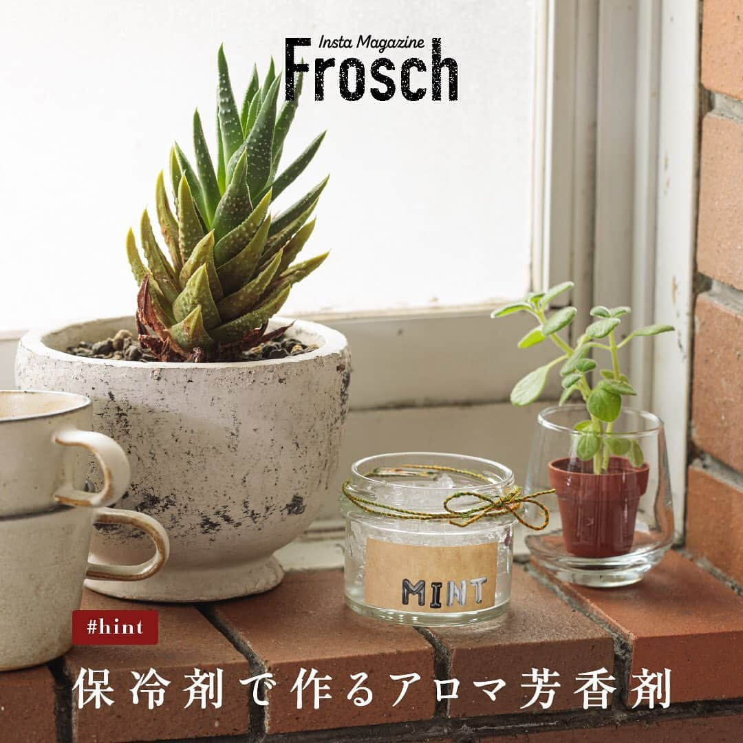 Frosch（フロッシュ）のインスタグラム