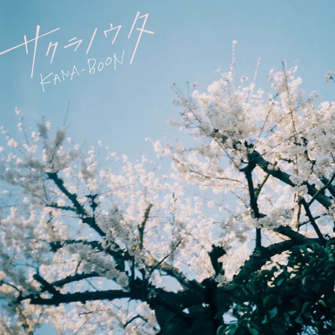 KANA-BOONのインスタグラム：「【おしらせ！】⁡ ⁡⁡ ⁡新曲「サクラノウタ」を3/1(水)に配信リリースすることが決定しました！✨⁡ ⁡⁡ 2013年リリースのMini Album「僕がCDを出したら」に収録されている「さくらのうた」、2014年リリースのSingle「結晶星」にカップリング曲として収録されている「桜の詩」につづく、KANA-BOON第3の”サクラロックソング”です！🌸  そして、今夜2/23(木)22:00〜23:55放送のTOKYO FM/JFN38局ネット「SCHOOL OF LOCK!」にて、「サクラノウタ」のフルサイズ音源が初オンエア！  お聴き逃しなく！⁡ ⁡⁡ ⁡⁡ ⁡#KANABOON ⁡ ⁡#サクラノウタ」