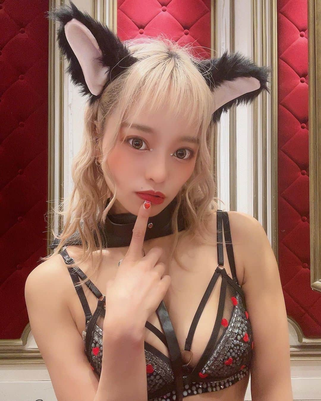 ラムさんのインスタグラム写真 - (ラムInstagram)「にゃんにゃんにゃんの日🐱🐱 . . .   #burlesquetokyo #バーレスク東京  #六本木 #showgirl #showdancer  #blackflow #ちびっこギャング #ねこの日 #にゃんにゃんにゃんの日 #ねこみみ #くろねこ #ギャル  #롯폰기 #바레스크도쿄」2月23日 14時57分 - lam_burlesque_