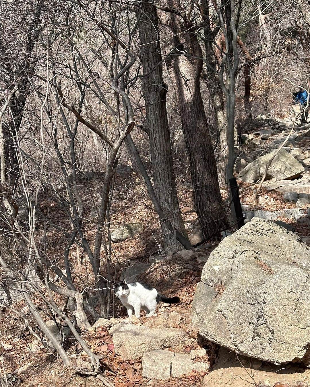 ペ・ヒギョンさんのインスタグラム写真 - (ペ・ヒギョンInstagram)「학교가는길에 등산하는 사람같네 #⛰️ #북한산 #종아리를잃은날」2月23日 16時05分 - baeheekyung3