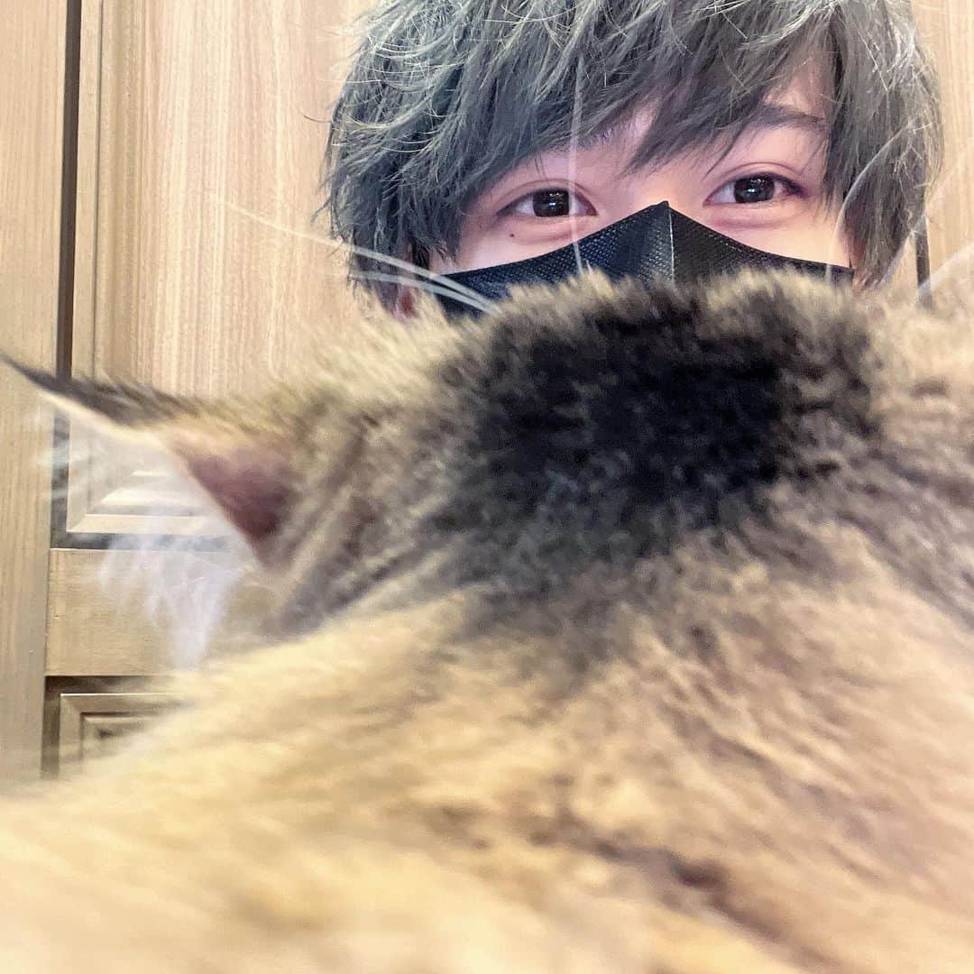 深谷柊さんのインスタグラム写真 - (深谷柊Instagram)「ねこ越しのめろ🐈‍⬛」2月23日 16時19分 - petite_shumero