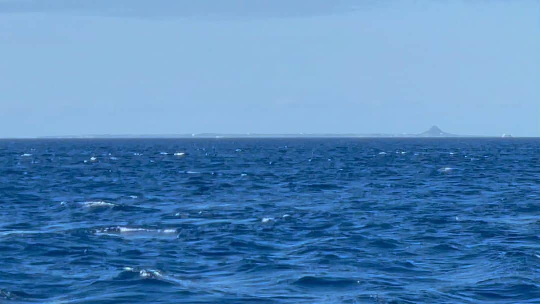 名波はるかのインスタグラム：「ホエールウォッチング🐳 冬の沖縄でクジラが見れるんですね❣️ たくさんクジラ見ることが出来ました。 最後可愛い2頭が尾ひれでバイバイしてくれました🥰 幸せな気分になれました。ありがとう💖 #ホエールウォッチング沖縄 #ホエールウォッチング #沖縄ハイクラスレンタカー33 #沖縄旅行 #ハイクラスレンタカー33 #2拠点生活」