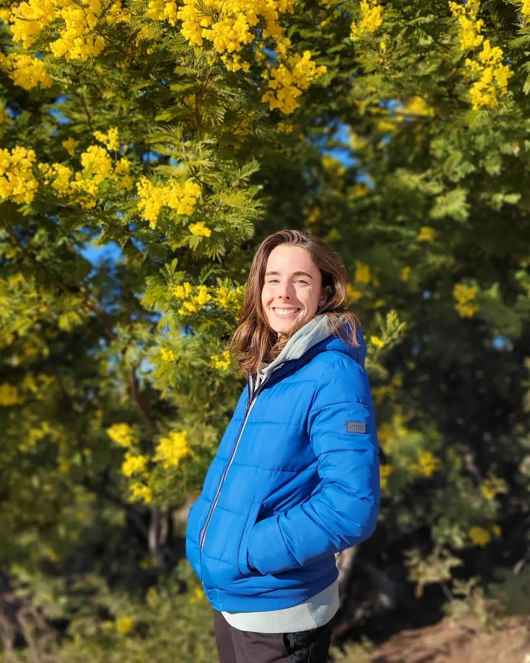 アリーゼ・コルネさんのインスタグラム写真 - (アリーゼ・コルネInstagram)「On dirait le Sud 🌼☀️💛 #mimosaparty #chargingbattery」2月9日 2時28分 - alizecornet