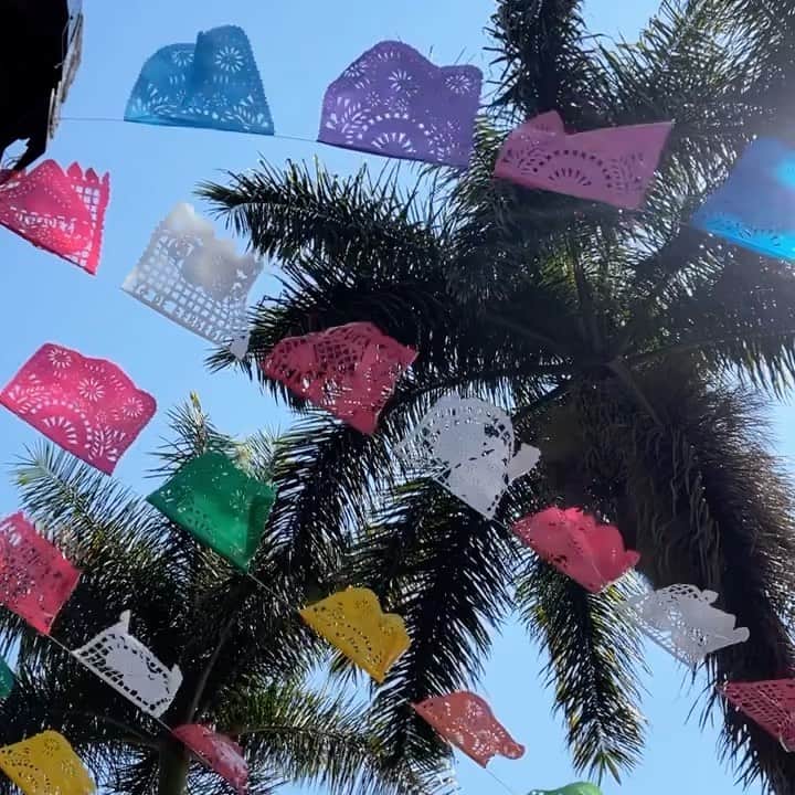 トローヤン・ベリサリオのインスタグラム：「Ajijic, Mexico.」