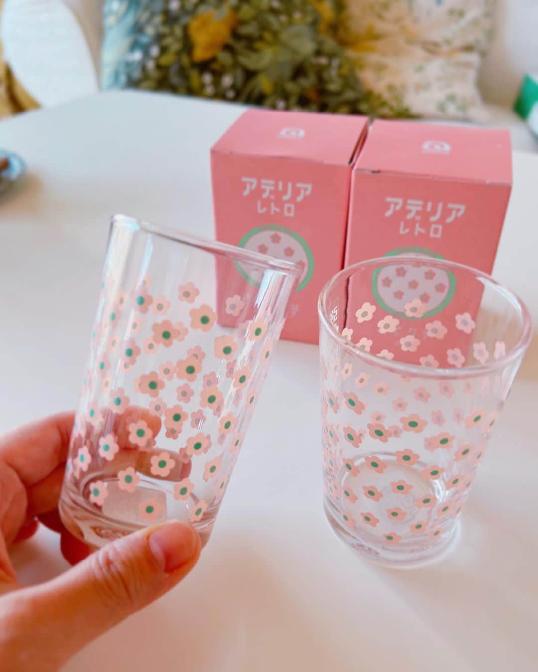 堀田ゆい夏さんのインスタグラム写真 - (堀田ゆい夏Instagram)「アデリアレトロのさくら草  🦩🌱🦩🌱  その名のとおり春っぽくてすごくかわいい😆  ピンクとグリーンのこの桜もちカラーがたまらなく好きで２つ買ってしまいました。  グラスだらけです...。  #アデリアレトロ  #さくら草 #ピンク」2月9日 13時58分 - yuika_a0902