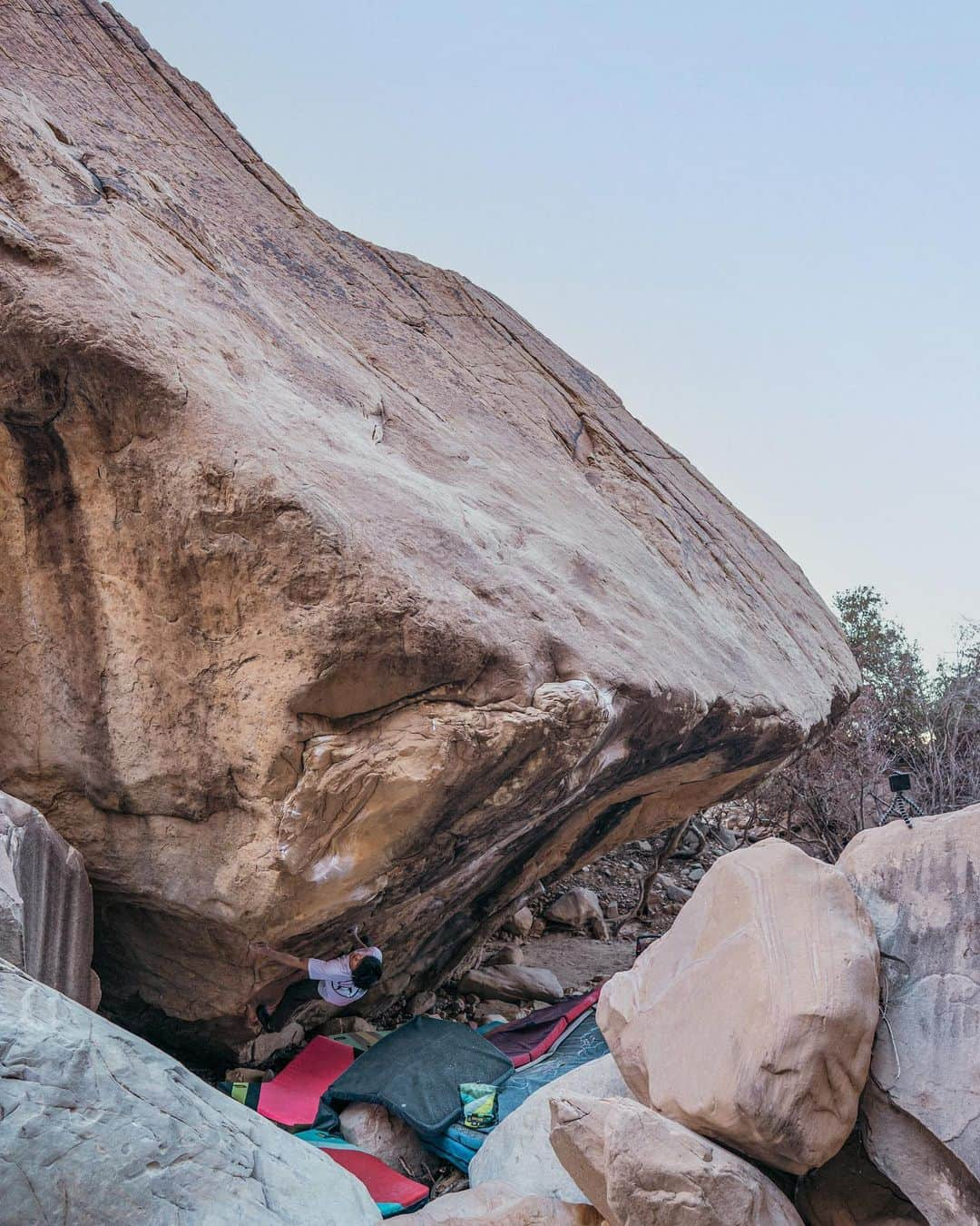 村井隆一さんのインスタグラム写真 - (村井隆一Instagram)「Squoze(V14/15)✅  My favorite style boulder⭐️⭐️⭐️ Two weeks of the Red Rocks trip came to an end. Goodbye Las Vegas, Sleepwalker sit next time. ____________________________________  ツアー最終日パワーでSquozeも登れました! ゴリゴリのコンプレッション満載でSleepwalkerに負けず劣らず名ラインでした💯 次はSleepwalker sitやりに戻ってきます。Goodbyeラスベガス✋  📷 @odamomo36  #climbing#bouldering#ボルダリング#redrocks @rokdo_team @frictionlabs @organicclimbing @unparallelup @rockmasterhq @team_edelrid @clover_resole @climbskinspain @urban_basecamp_shinjuku @basecamp.import」2月9日 16時30分 - ryu____1