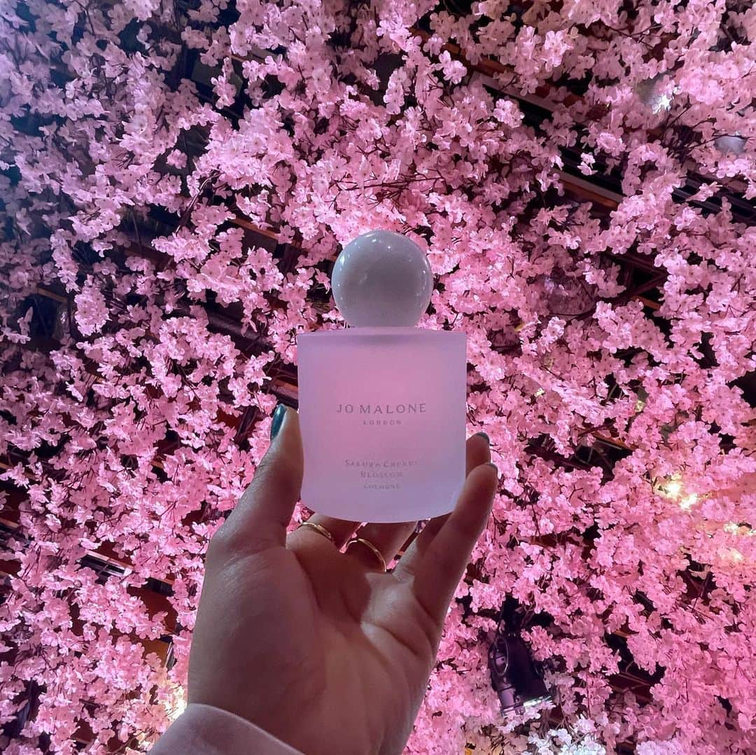 マリナさんのインスタグラム写真 - (マリナInstagram)「. Jo Malone London "Ohanami Celebration"のPOPUPイベントにご招待してもらったの!ᐢ. ̫.ᐢ  会場に桜がいっぱい咲いていて一足先に春を感じられたよ🌸  六本木ヒルズカフェで2/10-3/8まで開催されてるからみんなもよかったらぜひ行ってみてねᰔᩚ  ᥫᩣ  #ジョーマローンロンドン #サクラ香る春」2月9日 21時27分 - marina1103333