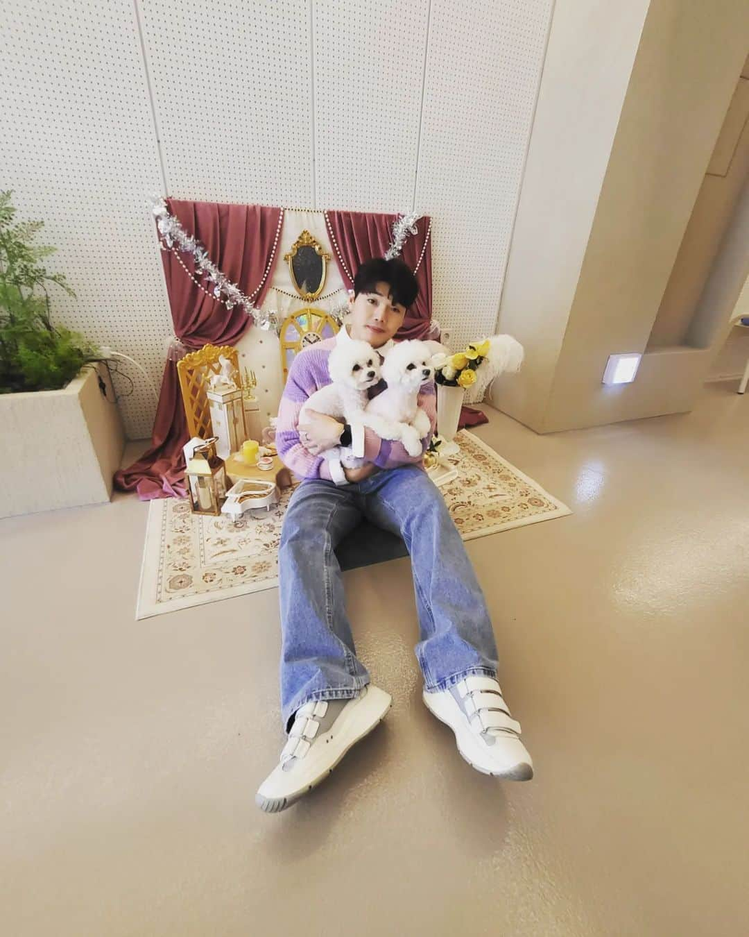 クォン・ヒョクスさんのインスタグラム写真 - (クォン・ヒョクスInstagram)「#연중플러스 #개릴라데이트 #강아지교육 #비숑프리제 이따 11시에 KBS에 저희 깔롱이 뽄세 나옵니다~ 얼마나 잘하나 구경오시길ㅋ」2月9日 21時34分 - kwunhyuksoo