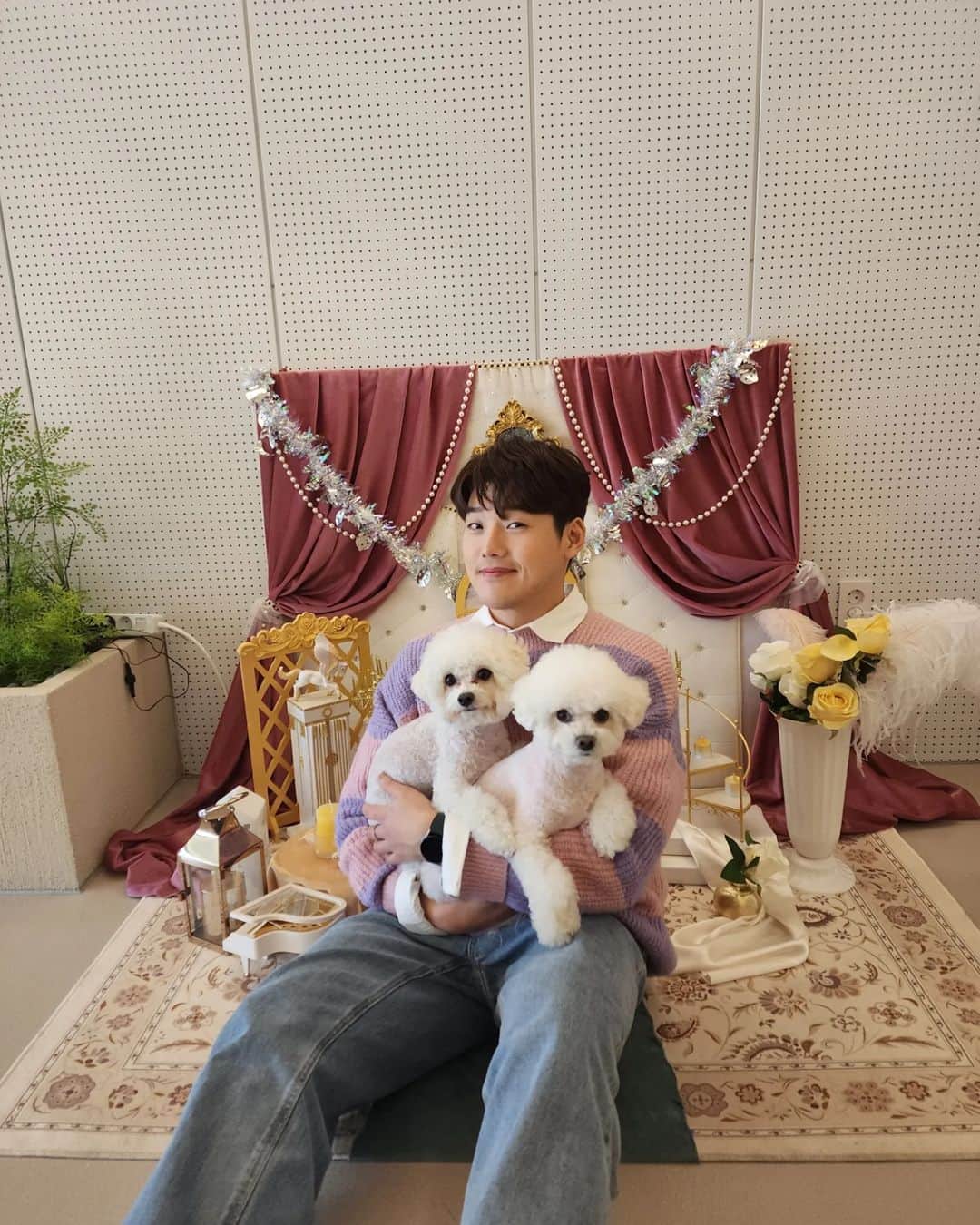 クォン・ヒョクスのインスタグラム：「#연중플러스 #개릴라데이트 #강아지교육 #비숑프리제 이따 11시에 KBS에 저희 깔롱이 뽄세 나옵니다~ 얼마나 잘하나 구경오시길ㅋ」
