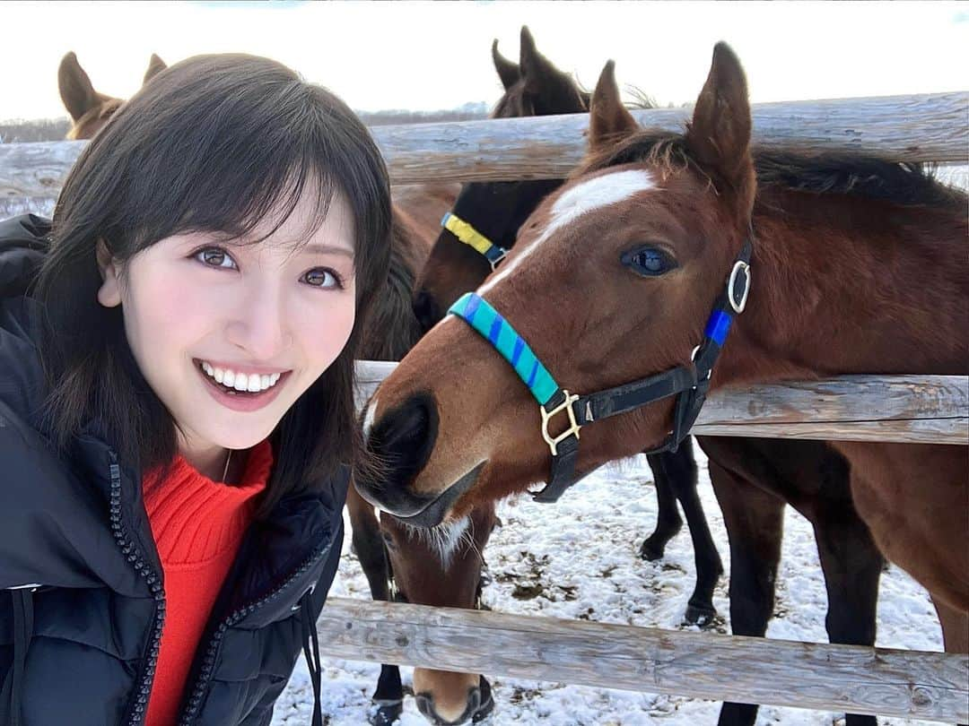 横山ルリカさんのインスタグラム写真 - (横山ルリカInstagram)「. かわいいかわいい当歳馬ちゃんと❤️🤤🐴  あす2/10（金）15:00〜 TOKYOFM🎧 【TOKYO TEPPAN FRIDAY】❄️ 今週のテーマは 『TEPPAN睡眠』😴  寒い日が続いてますが、気持ちよく寝るために何をしてますか？ メッセージお待ちしています📩  #TOKYOFM #TOKYOTEPPANFRIDAY #てつふら  2/11（土）20:00〜【競馬予想TV!】🏇  ⛄️共同通信杯 ⛄️京都記念  予想バトルをお楽しみに🔥  #競馬予想tv #共同通信杯 #京都記念  2/12（日）18:30〜 BS12  【ゴルフ女子⛳️ヒロインバトル】 今週もぜひ、ご覧ください🏌️‍♀️  #ゴルフ女子  #ヒロインバトル #BS12  #当歳馬 #きゃわきゃわ #🐴❤️」2月9日 21時54分 - rurika_yokoyama_official