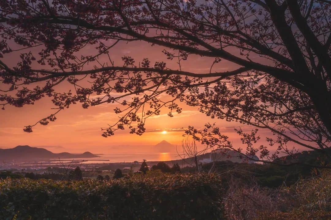 鹿児島よかもん再発見さんのインスタグラム写真 - (鹿児島よかもん再発見Instagram)「南さつま市坊津の耳取峠へ(^-^)/  昨年、寒緋桜が咲く時期、早朝に訪ねて、魅了されたこの場所🌸  今年も早起きして訪ねてきました🌅  ここは風景だけでなく、陽が昇ったあとは、メジロやヒヨドリの撮影も楽しめるのが最高でして、結局、到着から4時間ぐらいこの場所におりました💧  あと、全く関係ないですが、Instagramの複数枚投稿が不具合でうまくいかなかったのですが、アプリのアップデートにより改善されたので安心しました💧  ※ご一緒の撮影となった @y.y835 さん、一部場所を占拠してしまいごめんなさい💦 そして、楽しい時間を共有させて頂きありがとうございましたm(__)m R5/2/8撮影  #鹿児島  #鹿児島観光  #南さつま市 #南さつま市観光 #坊津 #耳取峠 #メジロ #寒緋桜  #japan #kagoshima #onsenislandkyushu  #九州旅ネットフォトコンテスト」2月9日 22時30分 - kagoshimayokamon