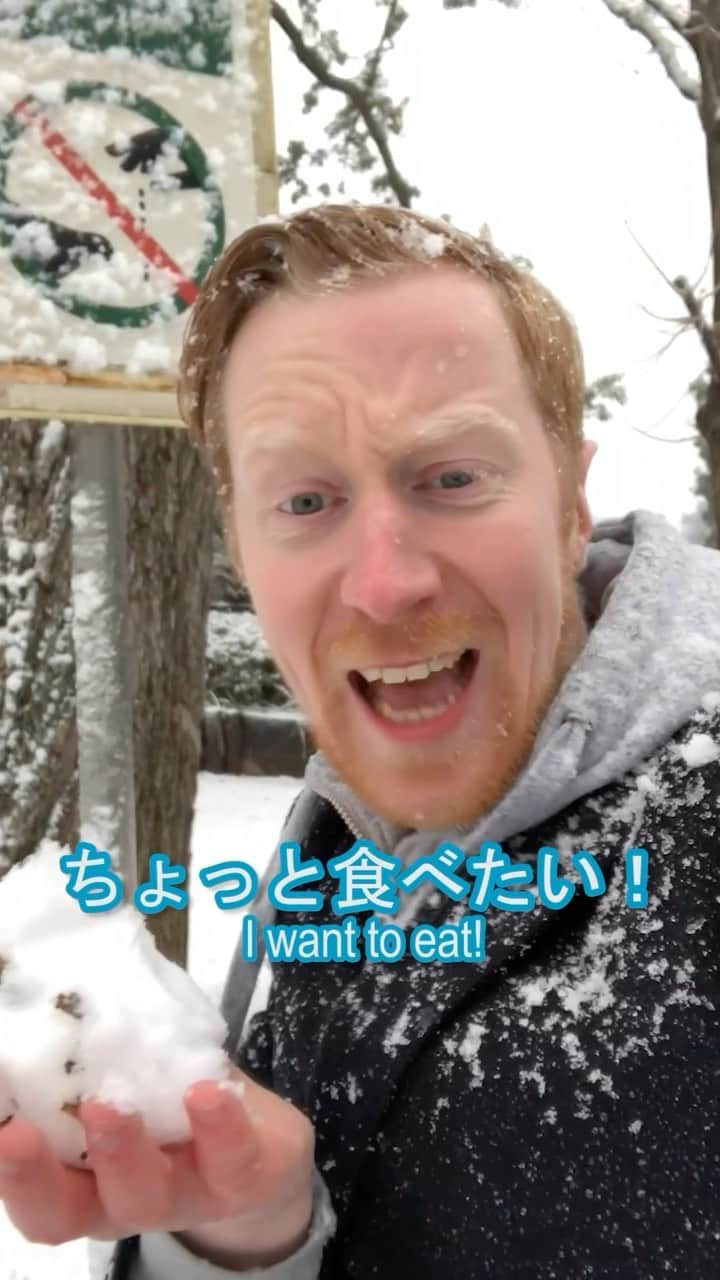 ミスターヤバタンのインスタグラム：「雪が好きすぎる外国人！☃️❄️ Snow in Tokyo!   #ミスターヤバタン #雪だるま #雪 #東京の雪 #やばたん #ヤバタン」