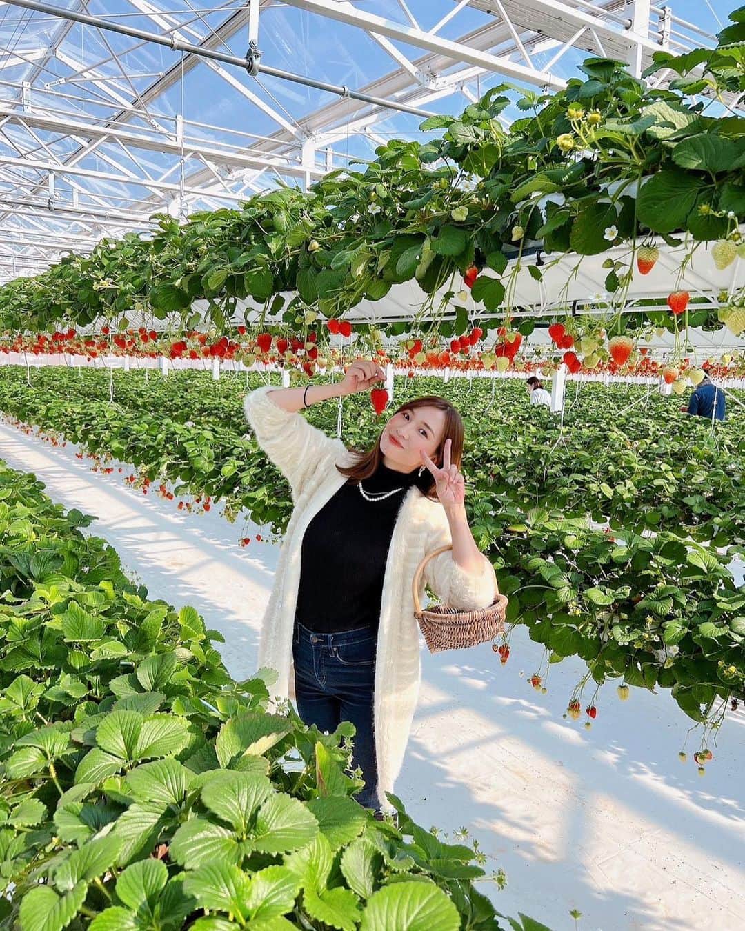 のインスタグラム：「いちご狩りの余韻にお付き合いください🍓🥺🫶  昨日はいいお天気でよかったぁ👏 今日は寒いので引きこもろう😮‍💨❄️ みなさんも雪には気をつけてくださいね😵  #いちご狩り #赤ちゃんとお出かけ #イチゴス横浜 #いちご好き #子育てママ #ママすけ  #余韻に浸る #神奈川旅行 #思い出グラム」