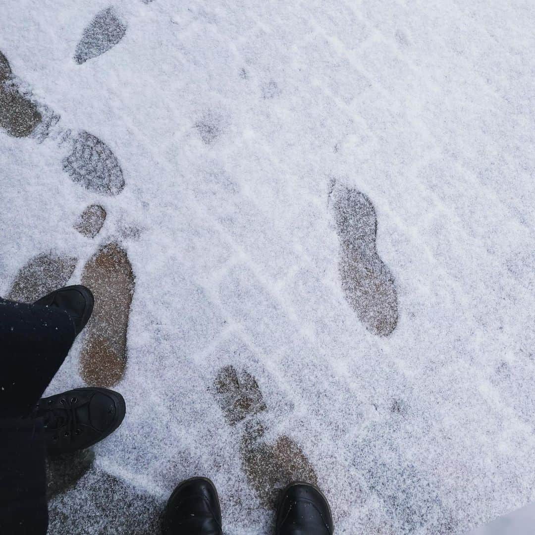 新井利佳さんのインスタグラム写真 - (新井利佳Instagram)「#下雪了 #帰り道  本日、夜ヨガクラスご参加の皆様。 靴下履いて、お腹も背中も出ないようなクラスになってますので。 モコモコにして来てください。 私はもうパジャマのような感じで行きます。」2月10日 13時04分 - rika.arai