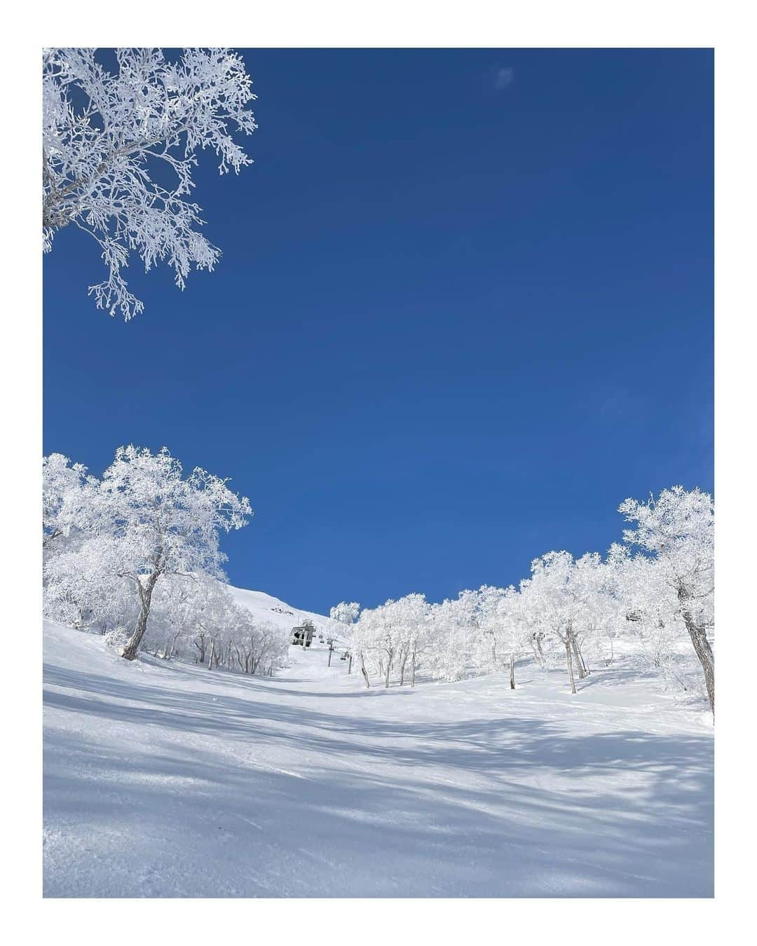 高田汐美さんのインスタグラム写真 - (高田汐美Instagram)「先月の北海道☃️❤️ ひとりで行った恵庭のサッポロビール工場とワカサギ釣りが衝撃的だったらしく、いまだにまわりにツッコまれるよ(笑) 正直、楽しかったのでまた1人でも行きたい(笑)  ＊ニセコは1人じゃありません。  そんなこんなで今日とて北海道☃️❤️  #三光舎　#北海道グルメ　#北海道　#ニセコ　#hokkaido  #niseko  #スパイスカレー　#北海道旅行　#スノボ　#snow #snowboarding  #hokkaidolove #羊蹄山　#beautiful  #instalike #l4l #instalike」2月10日 13時38分 - shiominniee