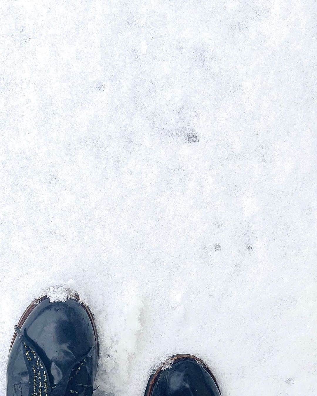 夏目綾さんのインスタグラム写真 - (夏目綾Instagram)「雪！！❄️  寒くないようにって思って、とんでもなくモコモコの状態で家を出たけど、 想像よりは寒くなかった気がする！  でもみんな通勤とか大変だっただろうし、もっと北の方の人たちはもっと大変だよね…！ 今日もお疲れ様です☃️」2月10日 21時19分 - natsumeaya79