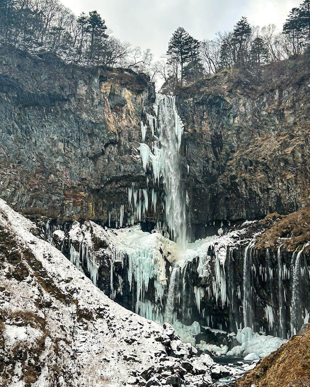 Lisaさんのインスタグラム写真 - (LisaInstagram)「Winter in Tochigi ❄️   There is a big chance to meet Japanese monkeys 🐒 **** 冬の栃木県❄️  野生の日本猿に出会った！🙊🙈🙉  場所: #湯西川温泉 #華厳ノ滝 #日光東照宮  #中禅寺湖  ............ #日本猿 #栃木県 #冬旅 #雪 #japantrip #japantravel #japan #tochigi」2月10日 21時30分 - lisa.sekai