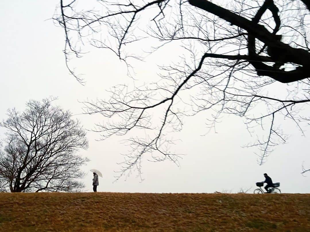 椎名直子のインスタグラム：「雪がみれてよかった」