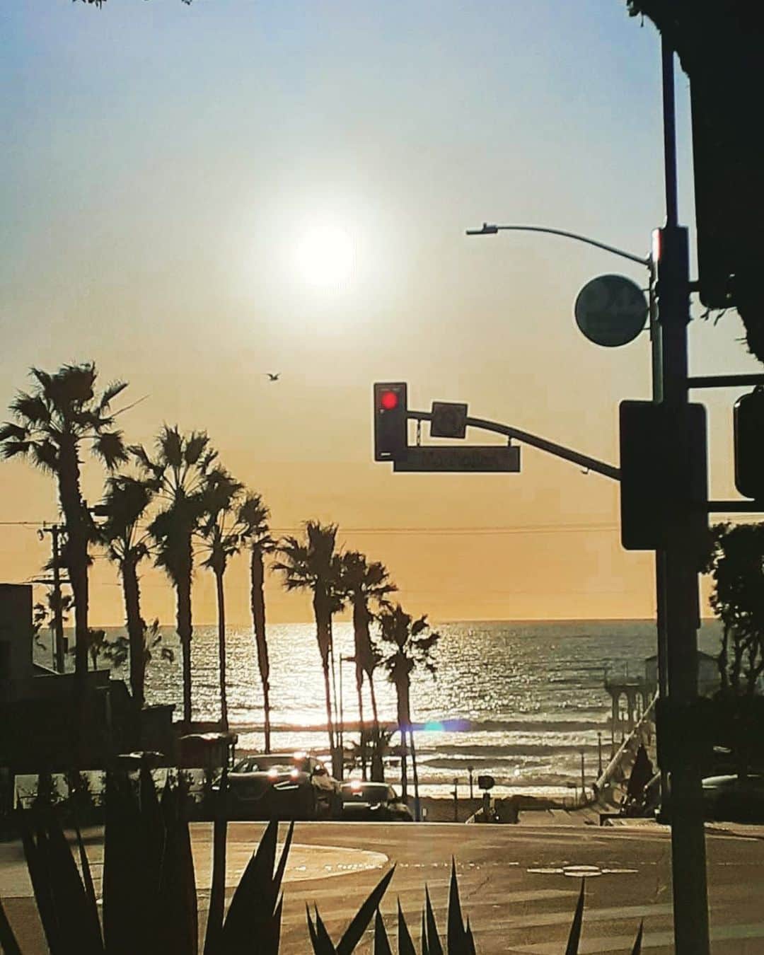平子理沙さんのインスタグラム写真 - (平子理沙Instagram)「The beautiful sunset of Redondo Beach 🌴🌴🌴 #LA#lifestyle#travel#beauty#fashion」2月10日 22時14分 - risa_hirako
