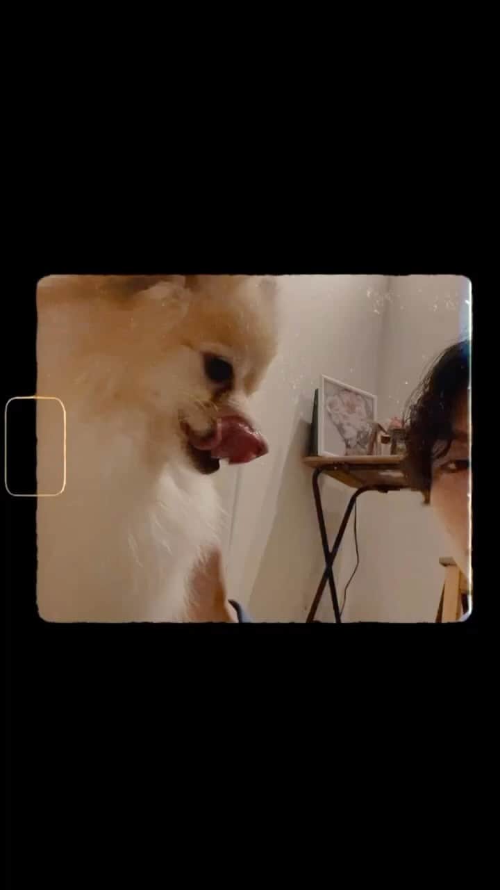 のインスタグラム：「いつもお留守番ありがとう😚」