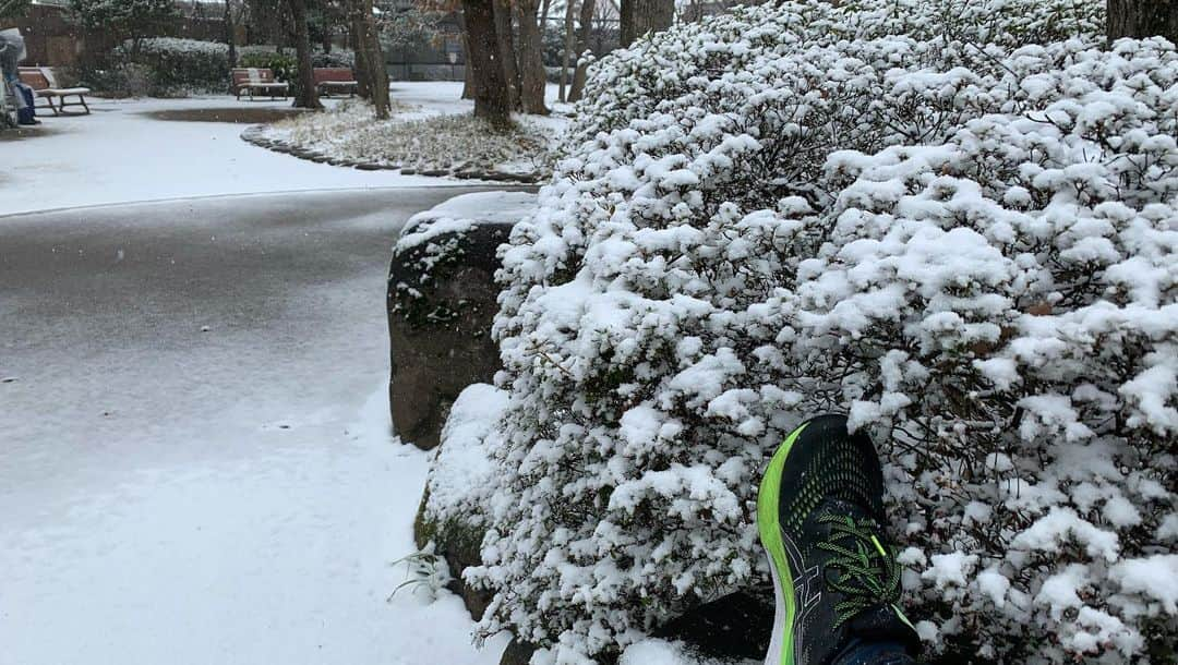 マシュー・チョジックさんのインスタグラム写真 - (マシュー・チョジックInstagram)「今朝のランニング気持ち良かった☃️ Lovely to run in the snow #Tokyo  #雪 #東京 #杉並区 #ランニング #matthewchozick  #マシューチョジック」2月10日 14時01分 - matthew_chozick