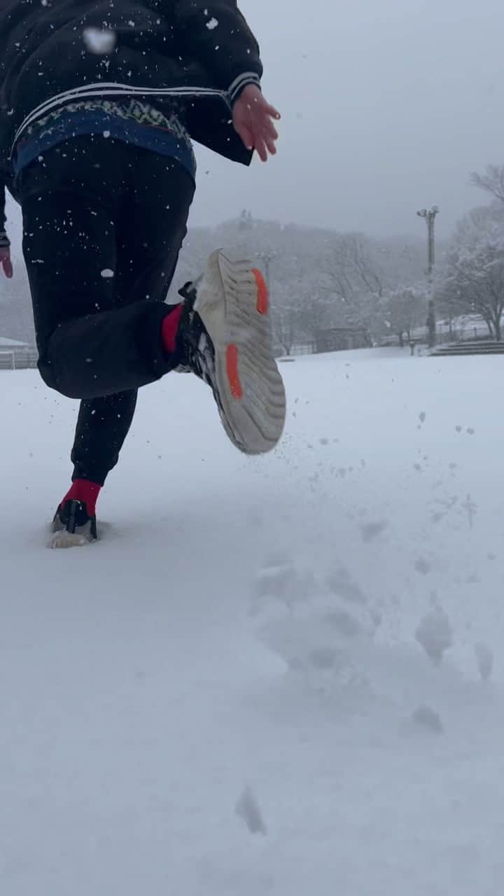 トマトクンのインスタグラム：「つい叫びたくなる雪があった  #雪#地元#相模原#はしゃぐ大人」