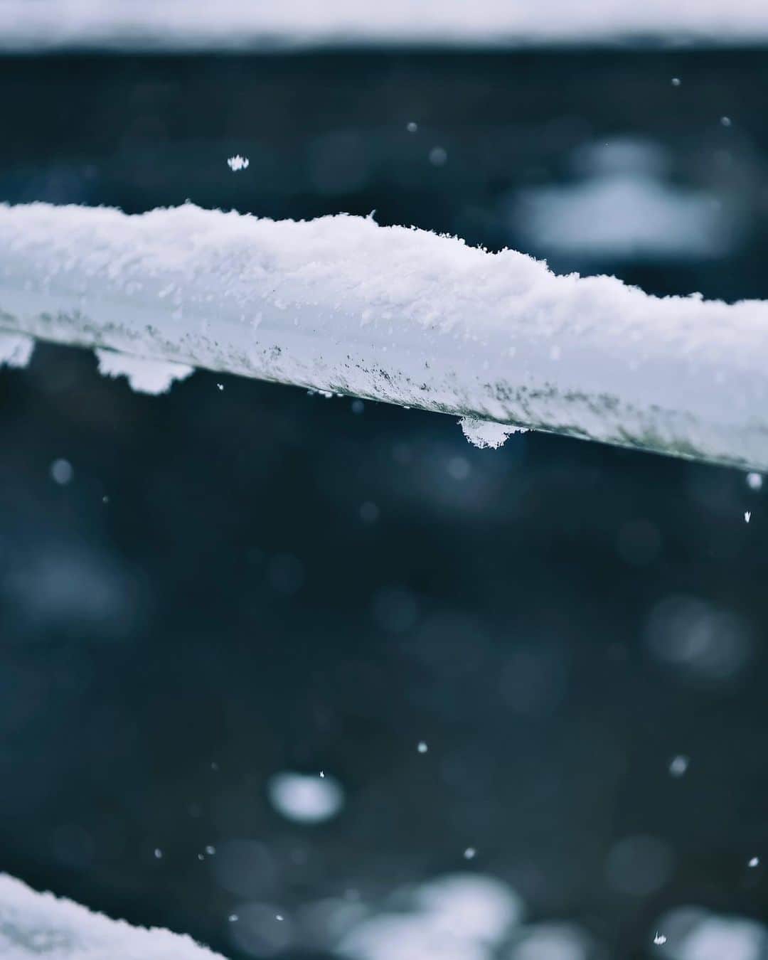 国分真央さんのインスタグラム写真 - (国分真央Instagram)「. 雪、美しいです。 ⁡ ⁡」2月10日 17時47分 - mao_kokubu