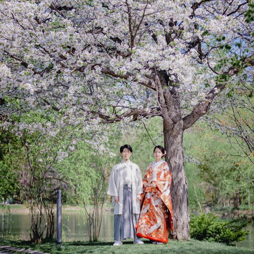 トラッシュ ザ ドレス ウェディング！のインスタグラム：「北海道の中島公園では、桜のフォトウェディングを撮影できます。  ＼札幌・小樽の撮影プランご用意しています／ 📢お問い合わせはセレブレーショントリップオンラインのホームページからお待ちしています。 https://celebration-trip.online/ ┈┈┈┈┈┈┈┈┈┈┈┈ #セレブレーショントリップオンライン #ウェディングオンライン #フォトウェディング #北海道ウェディングフォト #北海道前撮り #札幌フォトウェディング #中島公園フォトウェディング #中島沼公園 #桜 #さくら #hokkaido #sapporo #weddingphotography #photowedding #preweddingphoto #japanwedding #japanweddingphoto #hokkaidoweddingphoto #hokkaidowedding #nakajimapark #cherryblossomseason #sakura」