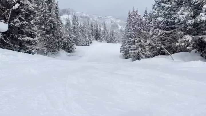 井手大介のグルメインスタ
