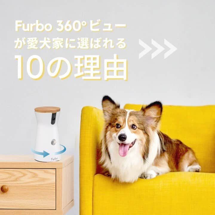 Furbo ドッグカメラのインスタグラム