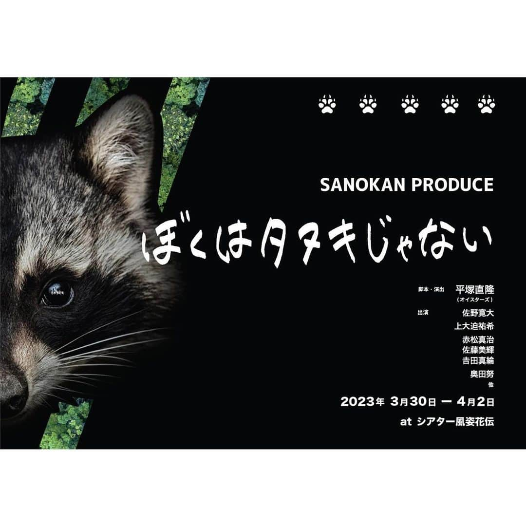 上大迫祐希さんのインスタグラム写真 - (上大迫祐希Instagram)「【情報解禁】  SANOKAN PRODUCE 舞台『ぼくはタヌキじゃない』 に出演させていただくことになりました🐾  3/30(木) 〜 4/2(日) シアター風姿花伝  プロデュース  佐野寛大さん   脚本･演出　平塚直隆さん  平塚さんの作品に出演させていただくのはなんと四度目。  以前私の出演舞台を観に来てくださった方も 今回が初めて！という方も 是非是非平塚さんの不条理会話劇を味わいにきてください。 きっと、クセになりますので。  私は台本を読んで既にクスクスしています（笑）  チケットなどの詳細は追ってご連絡します🦡  #舞台 #ぼくはタヌキじゃない #シアター風姿花伝」2月10日 18時25分 - y_kamioosako