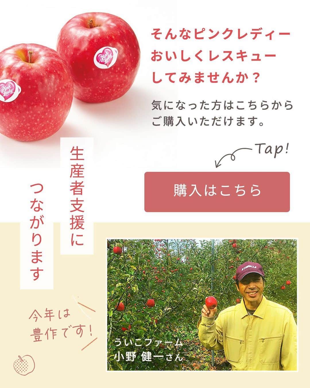 らでぃっしゅぼーやさんのインスタグラム写真 - (らでぃっしゅぼーやInstagram)「\スイーツ作りにピッタリ！！🍎/ 前回の投稿でもご紹介させていただいたピンクレディー®︎。スイーツ作りにピッタリのりんごとお伝えしましたが、今回はそのピンクレディー®︎を使ったレシピをご紹介いたします！ 　  🍎りんごのコンポート🍎 　  こんなに写真映えする見た目ですが、実はとっても簡単。 ピンクレディー®︎は火を通しても型崩れしにくいので、中身をくりぬいたあとの外側もそのまま容器として使用するととってもキュートな見た目に！バレンタインスイーツにもピッタリです♡  そんなピンクレディー®︎、今年は大豊作！ らでぃっしゅぼーやの契約農家のういこファーム・小野健一さんが愛情たっぷりに育てたピンクレディー®︎。予定外の豊作だと行き場がなくなってしまうことも…。見たこともないりんご、ピンクレディー®︎。この機会にぜひ、美味しく味わって生産者さんを応援してみませんか？気になった方は投稿についているリンクからご購入いただけます。 ※らでぃっしゅぼーやの会員さんでなくても購入いただけます！  #ピンクレディー #ピンクレディーりんご  #りんご #恋するりんご #りんご農家 #バレンタイン #バレンタインデー #バレンタインレシピ #バレンタインスイーツ #バレンタイン手作り #らでぃっしゅぼーや #ういこファーム #フードロス #フードロス削減 #農家応援 #豊作支援 #らでぃっしゅぼーやのレシピ紹介 #暮らしに心地よい循環を」2月10日 18時35分 - radishboya1988