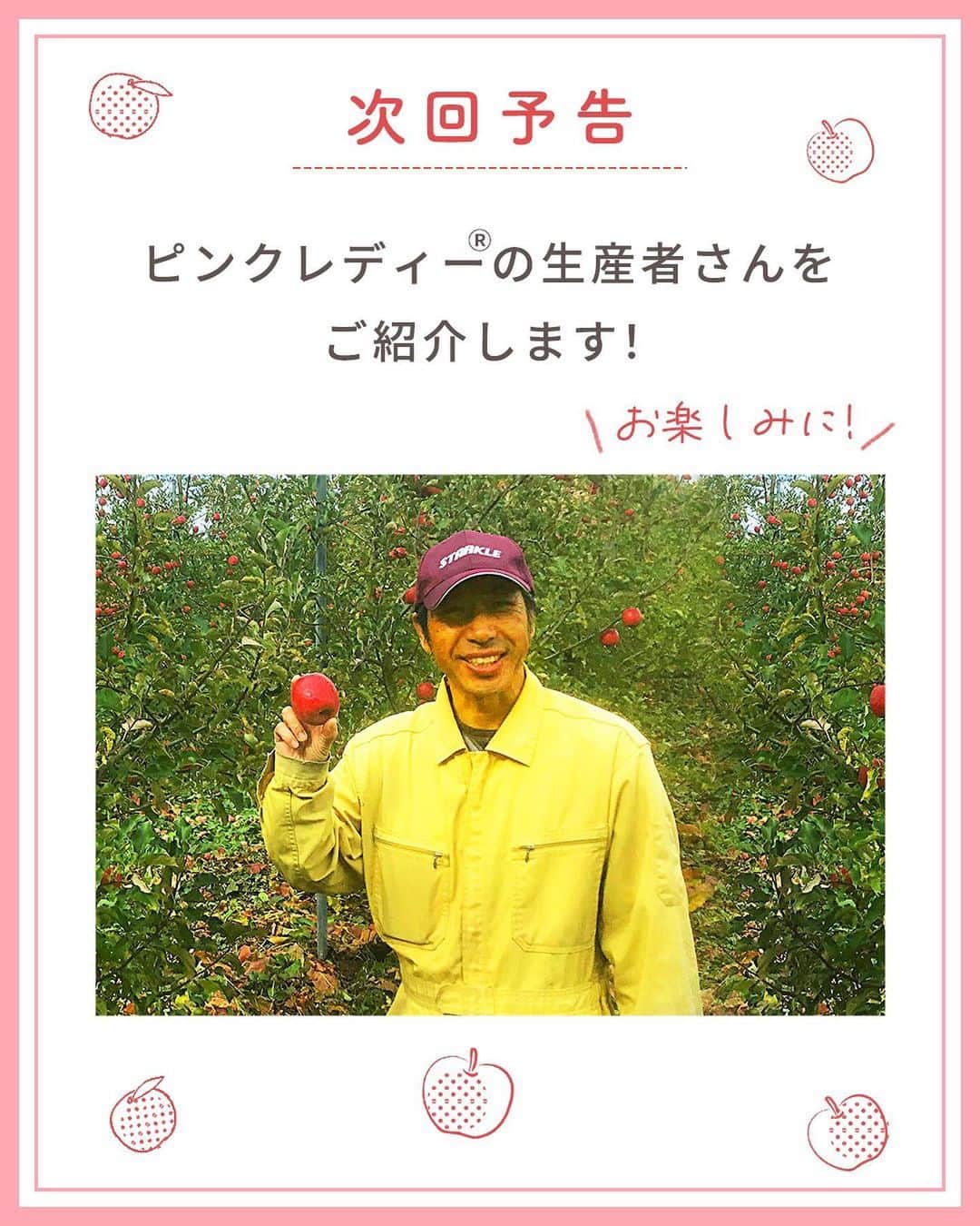 らでぃっしゅぼーやさんのインスタグラム写真 - (らでぃっしゅぼーやInstagram)「\スイーツ作りにピッタリ！！🍎/ 前回の投稿でもご紹介させていただいたピンクレディー®︎。スイーツ作りにピッタリのりんごとお伝えしましたが、今回はそのピンクレディー®︎を使ったレシピをご紹介いたします！ 　  🍎りんごのコンポート🍎 　  こんなに写真映えする見た目ですが、実はとっても簡単。 ピンクレディー®︎は火を通しても型崩れしにくいので、中身をくりぬいたあとの外側もそのまま容器として使用するととってもキュートな見た目に！バレンタインスイーツにもピッタリです♡  そんなピンクレディー®︎、今年は大豊作！ らでぃっしゅぼーやの契約農家のういこファーム・小野健一さんが愛情たっぷりに育てたピンクレディー®︎。予定外の豊作だと行き場がなくなってしまうことも…。見たこともないりんご、ピンクレディー®︎。この機会にぜひ、美味しく味わって生産者さんを応援してみませんか？気になった方は投稿についているリンクからご購入いただけます。 ※らでぃっしゅぼーやの会員さんでなくても購入いただけます！  #ピンクレディー #ピンクレディーりんご  #りんご #恋するりんご #りんご農家 #バレンタイン #バレンタインデー #バレンタインレシピ #バレンタインスイーツ #バレンタイン手作り #らでぃっしゅぼーや #ういこファーム #フードロス #フードロス削減 #農家応援 #豊作支援 #らでぃっしゅぼーやのレシピ紹介 #暮らしに心地よい循環を」2月10日 18時35分 - radishboya1988