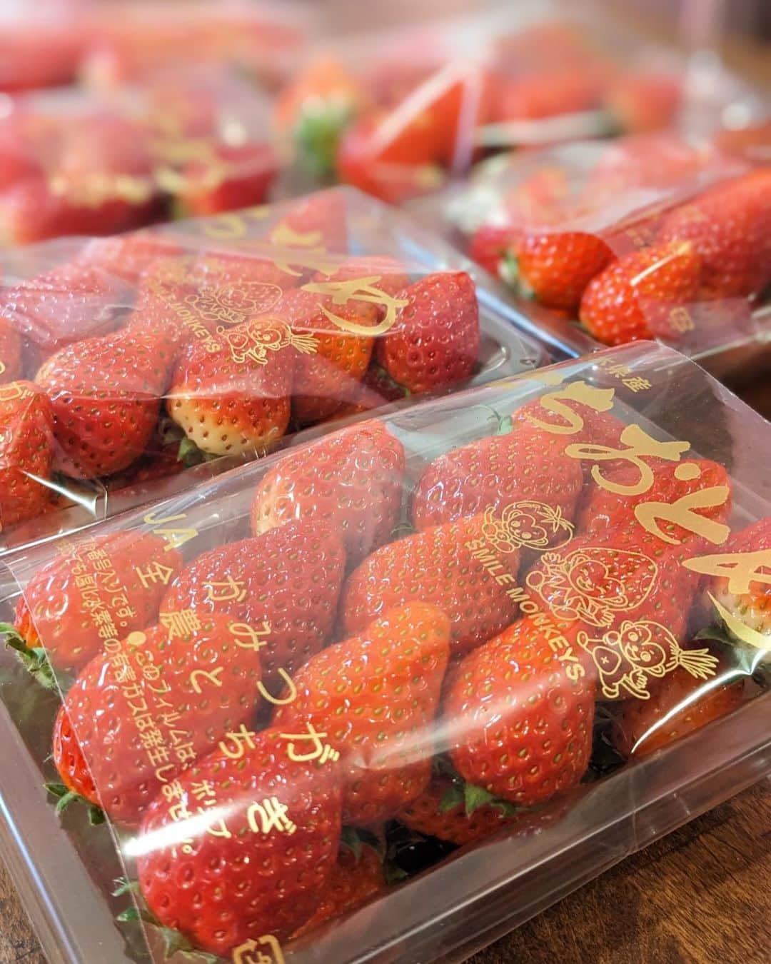 横浜赤レンガ倉庫のインスタグラム：「Yokohama Strawberry Festival 2023ー10th Anniversaryー  2月26日（日）まで開催中🍓🍓🍓 ※2月21日は休業  会場には毎日、いろんなブランドいちご🍓が集まります🥰  🍓とちおとめ 🍓あまりん 🍓紅ほっぺ 🍓淡雪   明日はどのいちご食べよう😋😋😋   #横浜赤レンガ倉庫 #横浜赤レンガ #yokohamaredbrickwarehouse #ヨコハマストロベリーフェスティバル #ストロベリーフェスティバル #ストロベリーフェスティバ2023 #みなとみらいグルメ #みなとみらいスイーツ #みなとみらいカフェ #いちご #いちごスイーツ #いちご好き #いちご好きな人と繋がりたい #横浜 #yokohama #みなとみらい #minatomirai #YOKOHAMASTRAWBERRYFESTIVAL #赤レンガでいちご」