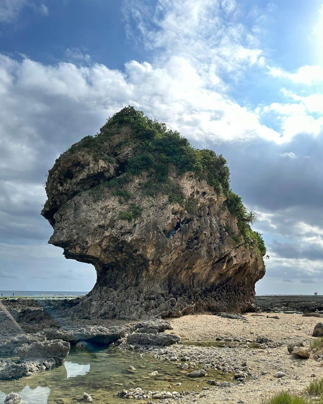 野村真一郎さんのインスタグラム写真 - (野村真一郎Instagram)「If you look closely, there I am.  居心地が最高すぎてついはしゃいでしまう #具志頭ボルダー 🌤️ メンタルトレも兼ねて訪問しました。 よく見ると僕が登ってます。  Vid3: Chock stone attack V7   @rokdo_team @monturajapan @montura_official @unparallelup @rockmasterhq_caravan @clover_resole @frictionlabs @project_daihold @hamasakichiryoin0929」2月10日 19時24分 - nomura_shinichiro