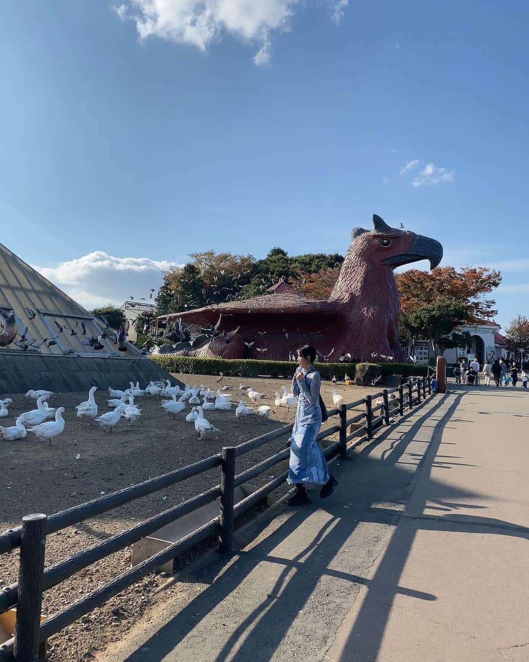 郡司りかのインスタグラム：「🕊🕊🕊🕊🕊🕊🕊🕊🕊🕊🕊🕊🕊 わたしが近寄ったら鳩が一斉に飛び立った図。  全員逃げてった。  それにしても自分の驚いた顔ヤバい🤗 (時差投稿です)  @izu_shabotenzoogroup   #シャボテン公園 #伊豆旅行 #伊豆観光 #動物園 #静岡観光 #zara #ザラ #春服コーデ」