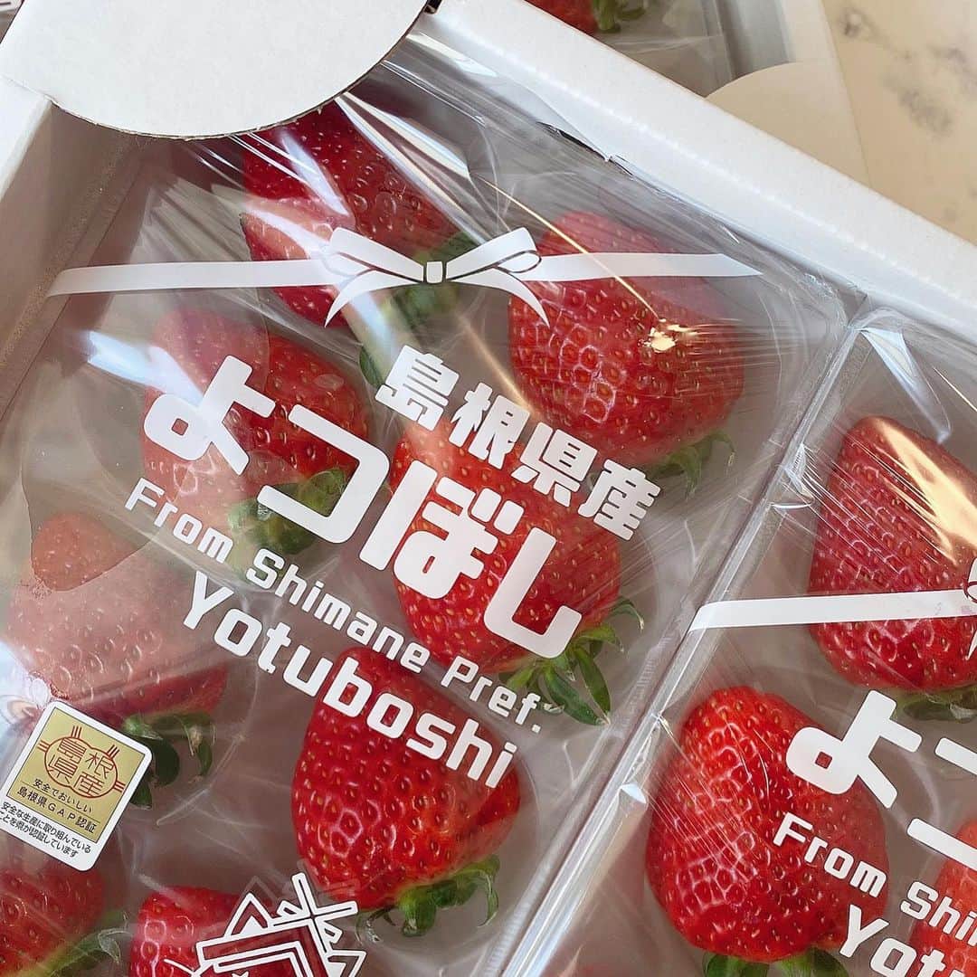 くっきーさんのインスタグラム写真 - (くっきーInstagram)「. 島根県安来市のAwai撮影で お世話になった、 いちごの大森ファーム ( @strawberry_farm_omori ) さんから頂いたいちご🍓  大粒でびっくりするくらい甘くて もったいないから ちょこっとずつ食べてる  撮影のときはいちご狩りもさせて頂きました 初いちご狩りの思い出🌱  #いちご狩り #いちご好き #苺  #島根県安来市 #島根 #島根旅行 #島根観光」2月10日 20時25分 - yuka_kukita01