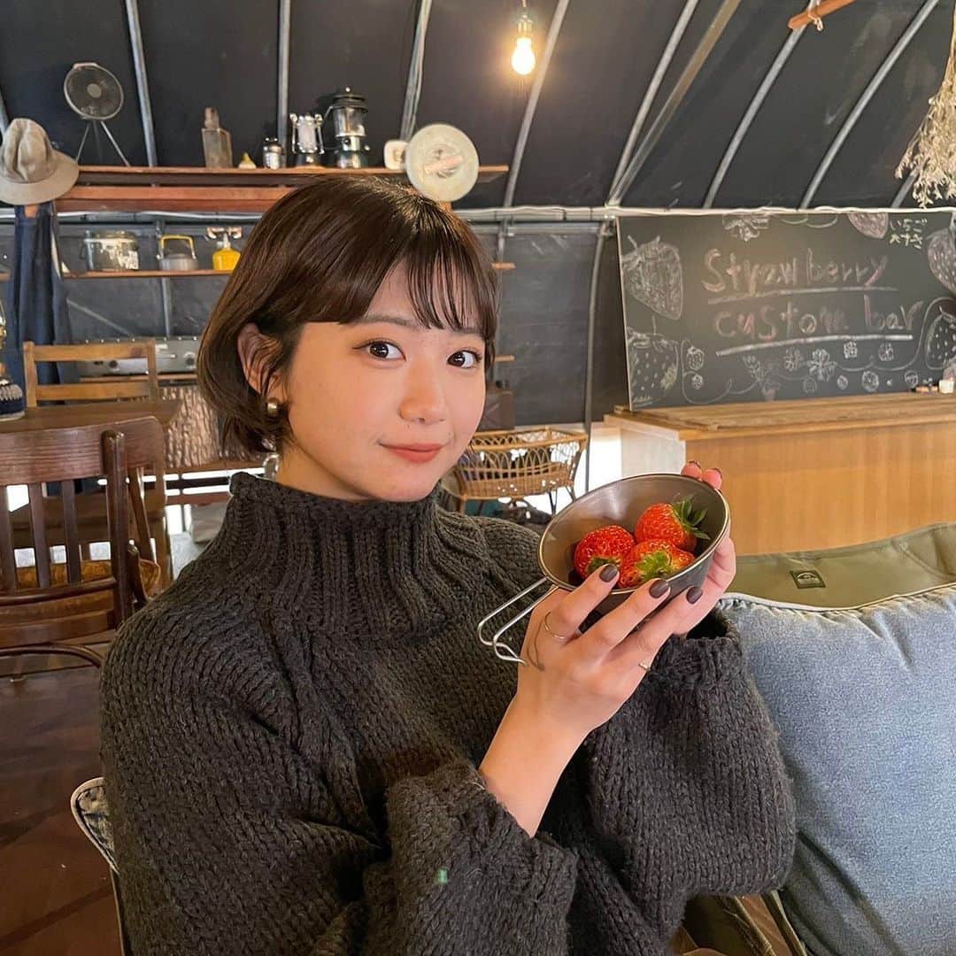 くっきーさんのインスタグラム写真 - (くっきーInstagram)「. 島根県安来市のAwai撮影で お世話になった、 いちごの大森ファーム ( @strawberry_farm_omori ) さんから頂いたいちご🍓  大粒でびっくりするくらい甘くて もったいないから ちょこっとずつ食べてる  撮影のときはいちご狩りもさせて頂きました 初いちご狩りの思い出🌱  #いちご狩り #いちご好き #苺  #島根県安来市 #島根 #島根旅行 #島根観光」2月10日 20時25分 - yuka_kukita01